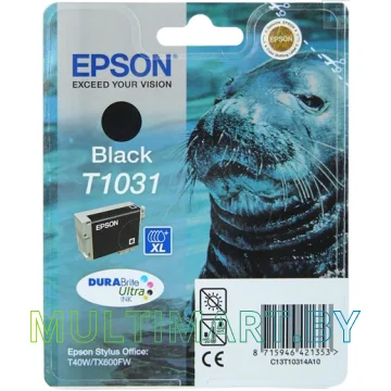 Картридж Epson C13T10314A10